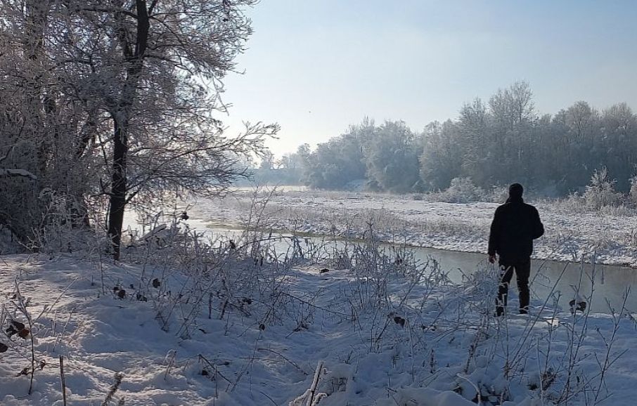 Resoconto dell’attività dell’ufficio di vigilanza del Parco del Po piemontese
