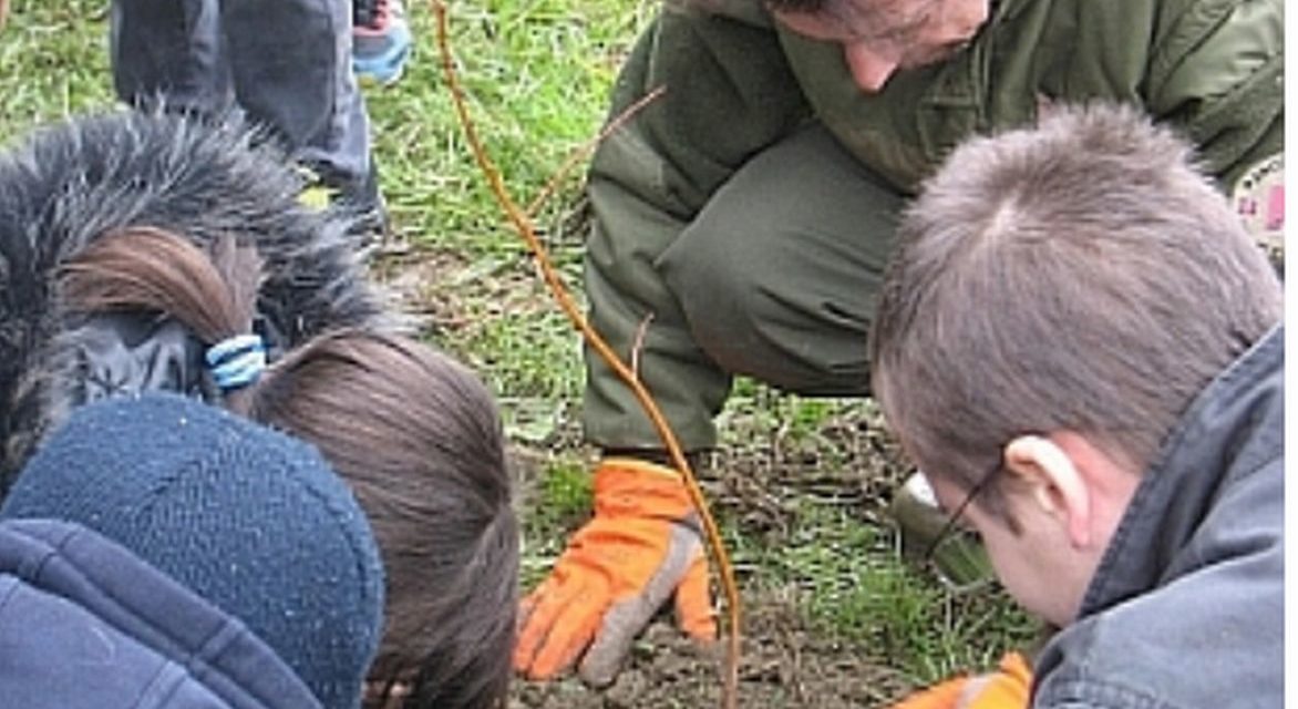 Sta nascendo un nuovo bosco a Valenza: è quello dei neonati!