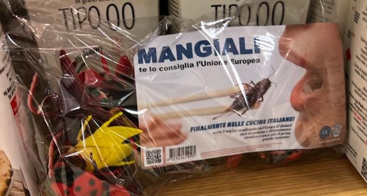 Insetti come cibo, protesta shock contro le direttive UE anche a Tortona degli attivisti di Destra