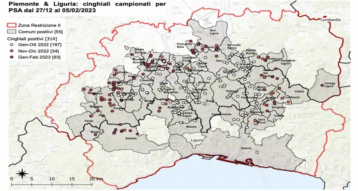 In controlli per la peste suina: cinque nuovi casi