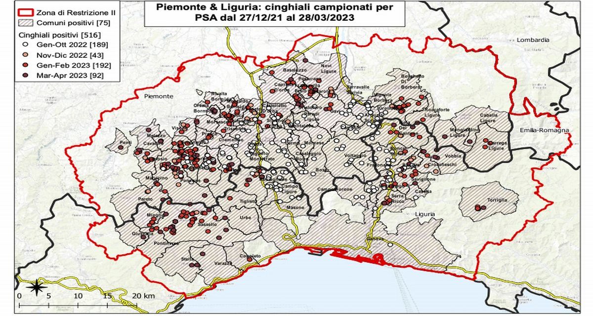 Peste suina in basso Piemonte e Liguria: 18 nuovi casi in un giorno: è allarme