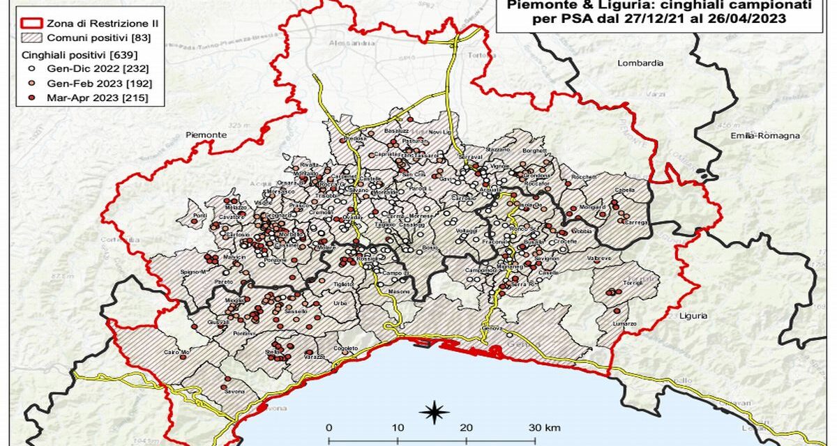 Ben 16 nuovi casi di peste suina, è sempre più allarme