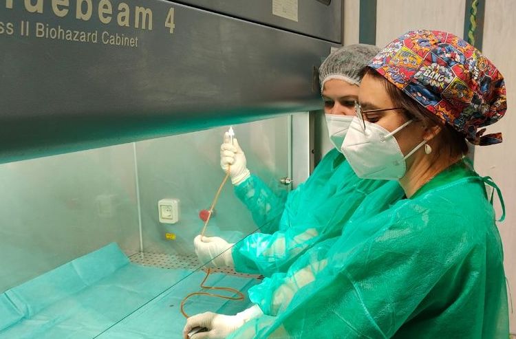 Malattie onco-ematologiche: ad Alessandria uno studio  da parte del personale infermieristico