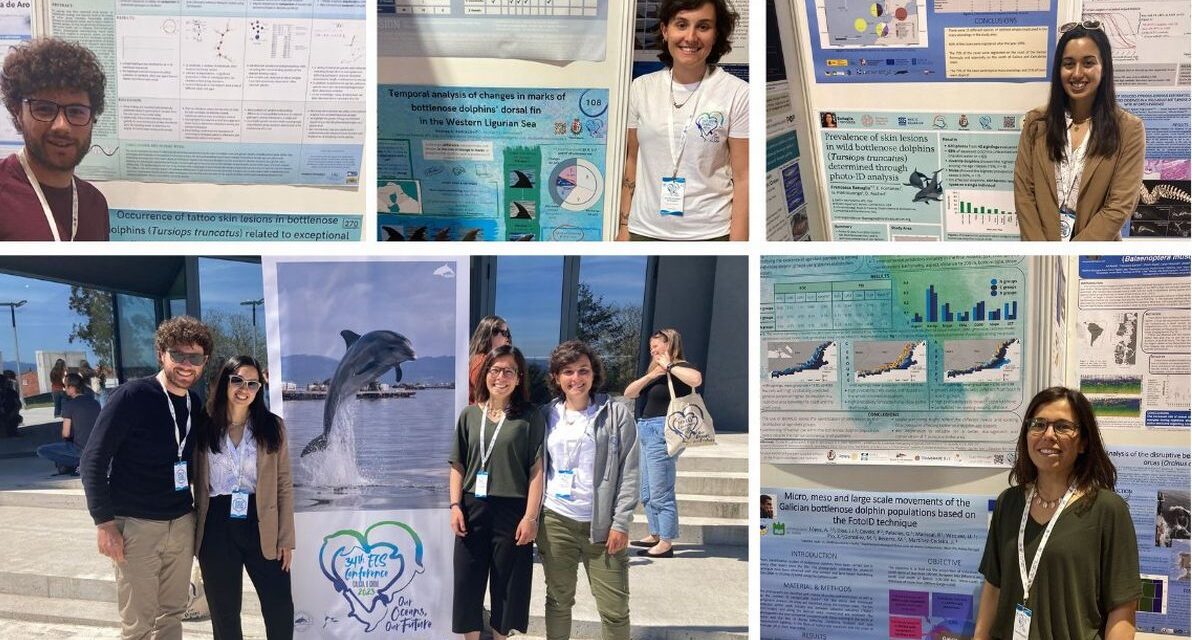 Delfini Del Ponente: da Imperia alla Galizia per la Conferenza della European Cetacean Society