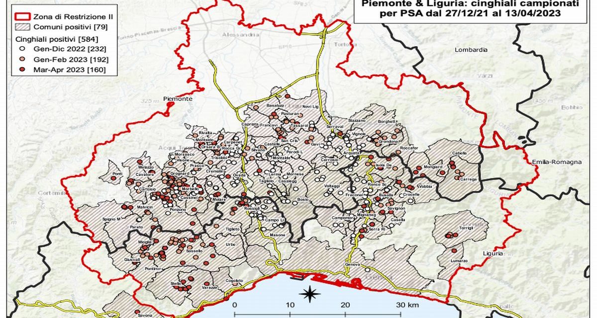 Peste suina, 18 casi in un giorno tra basso Piemonte e Liguria , è sempre più allarme