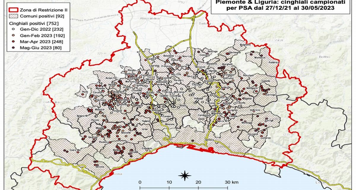 Dieci nuovi casi di peste suina in 24 ore, continua l’allarme