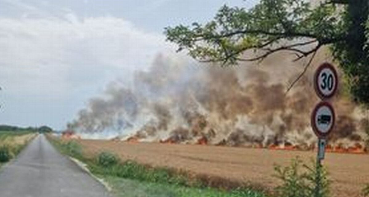 Oggi questo incendio a Torre Garofoli e ieri altri tre interventi dei pompieri di Tortona