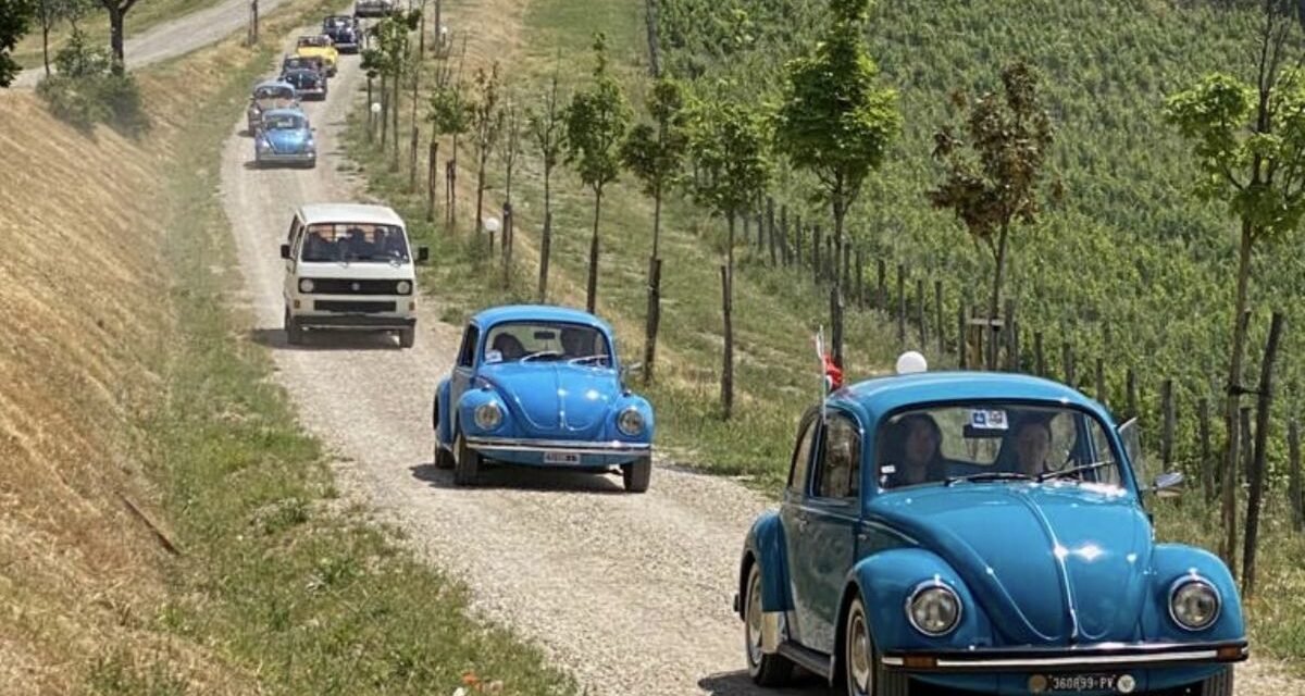 Anche grazie al Fai di Tortona il 19esimo Raduno  dei Maggiolini è stato un successo