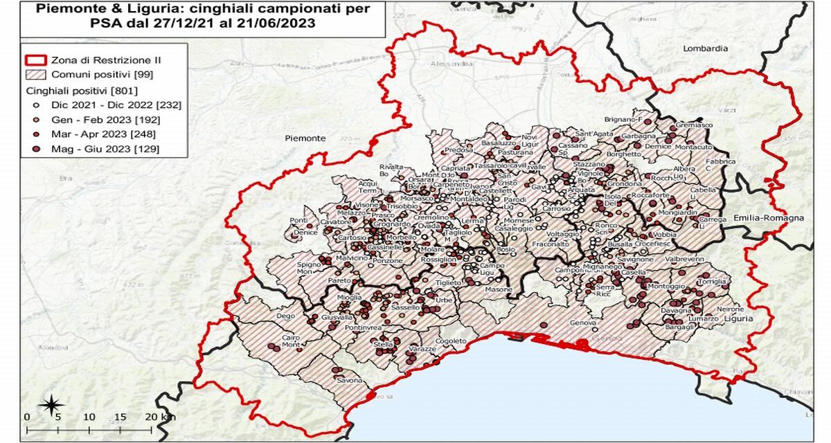 Continua l’allarme peste suina: 15 nuovi casi in un solo giorno