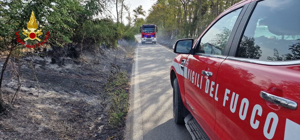 Incendio boschivo a Novi Ligure