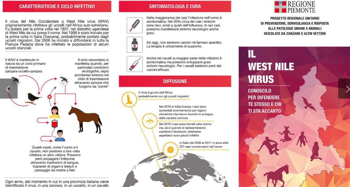 Prestate attenzione al virus del Nilo e alla Zanzara Tigre