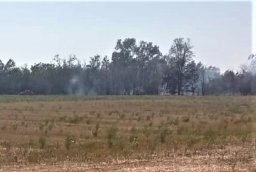 Incendio a Pontecurone sulla riva destra del fiume ecco cosa è rimasto