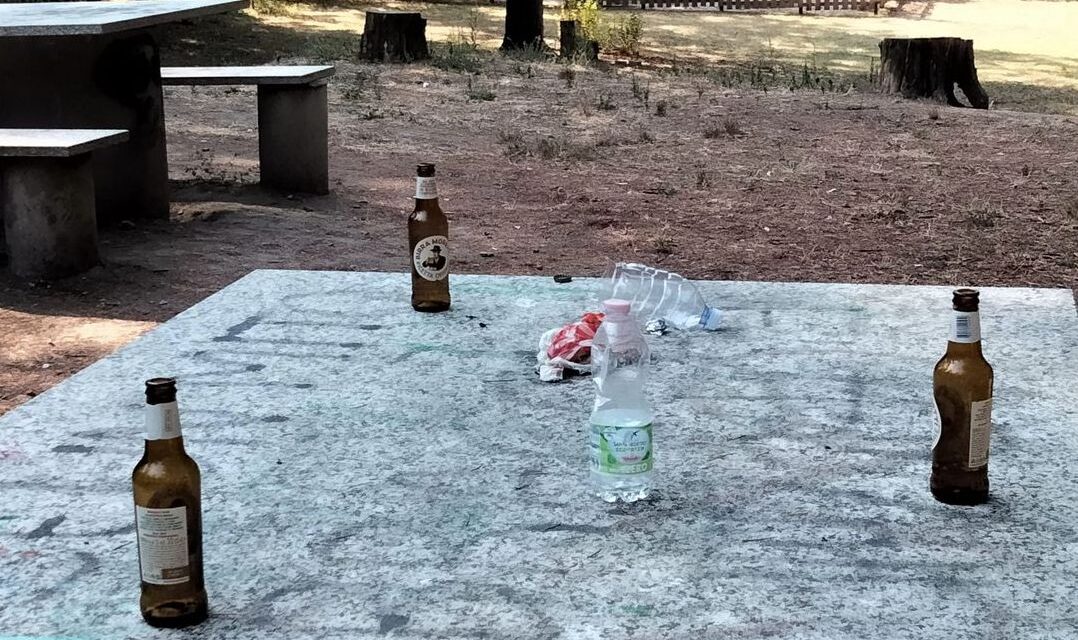 Il Sabato sera di alcuni tortonesi sul Parco del Castello con il contenitore dei rifiuti a pochi metri…