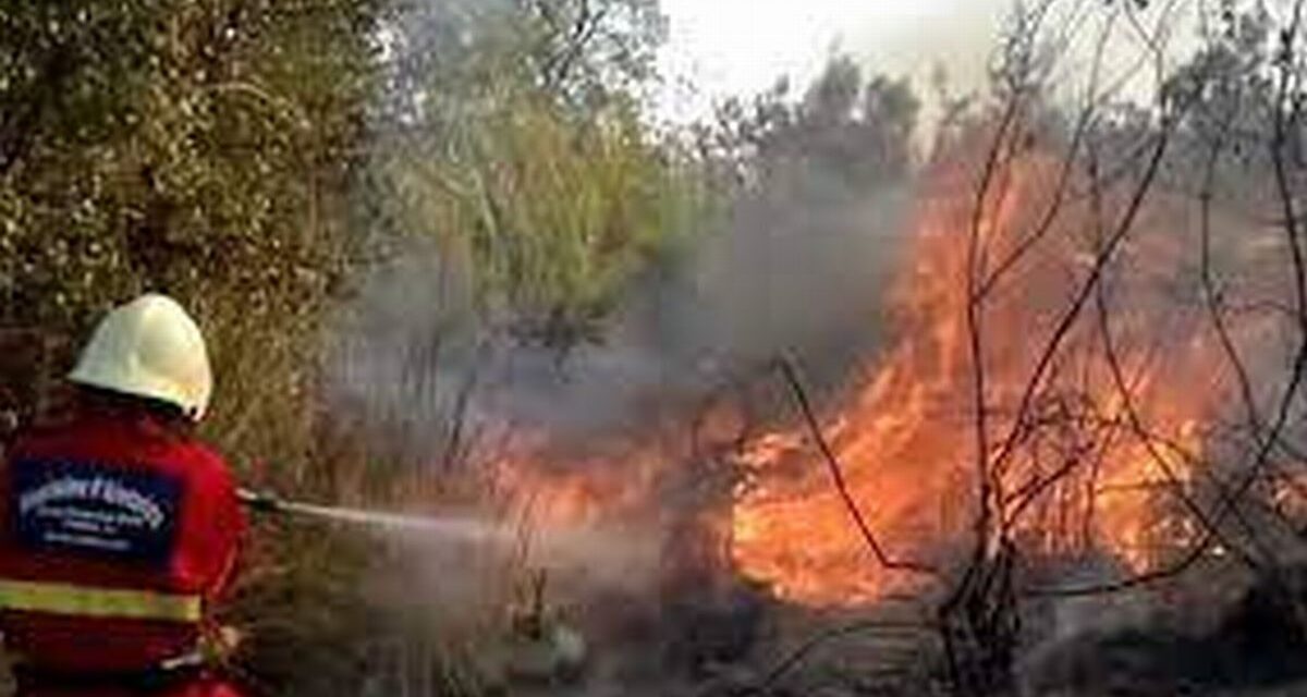 Il Comune di Tortona ha diramato notizie in merito all’incendio sul greto dello Scrivia