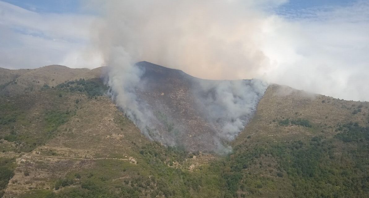 Incendio boschivo a Montalto Carpasio: un indagato sospettato di averlo appiccato