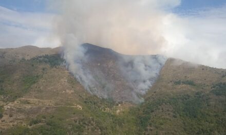 Emergenza siccità e incendi boschivi: il Piemonte attiva i nuovi poteri per supportare i territori in tempi record