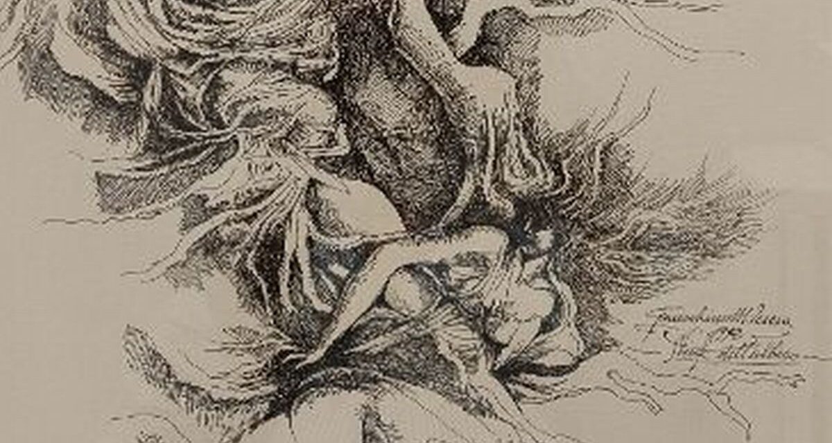 A Casale da sabato 2 dicembre una bella manifestazione artistica