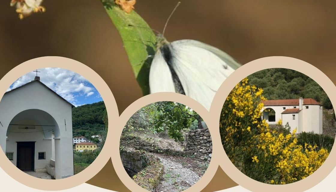 Sabato camminata a Molino del Fico a San Bartolomeo al mare
