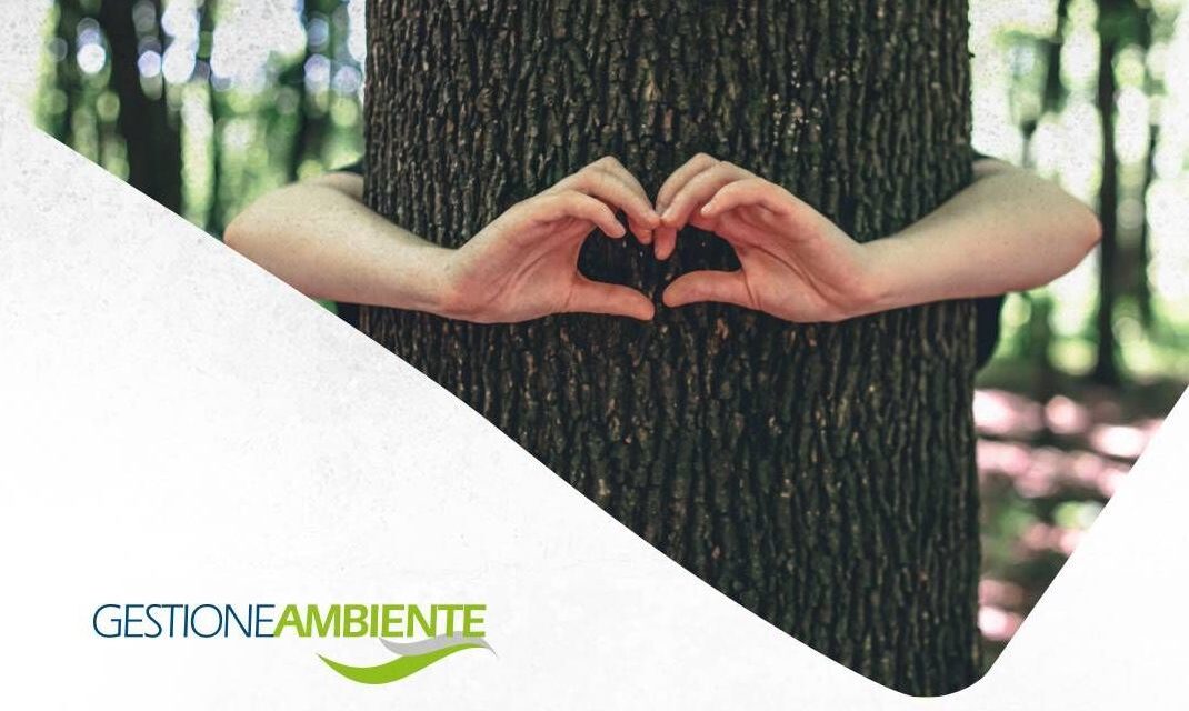 Gestione Ambiente vara un  nuovo servizio di raccolta straordinaria per gli abeti di Natale