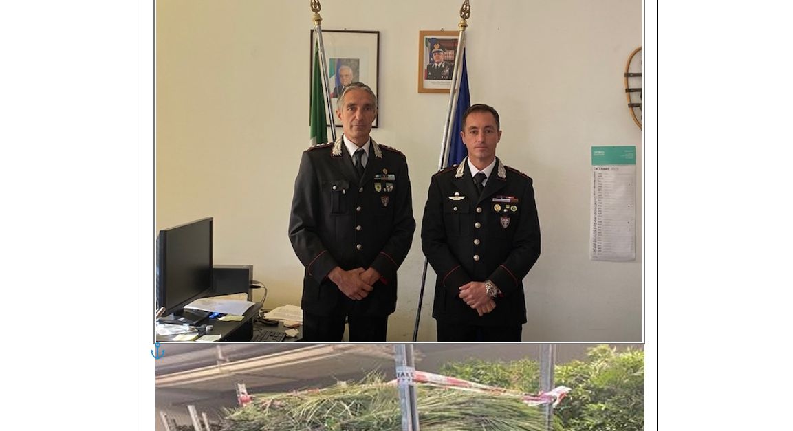 A Badalucco i carabinieri forestali multano un’azienda per commercio illecito