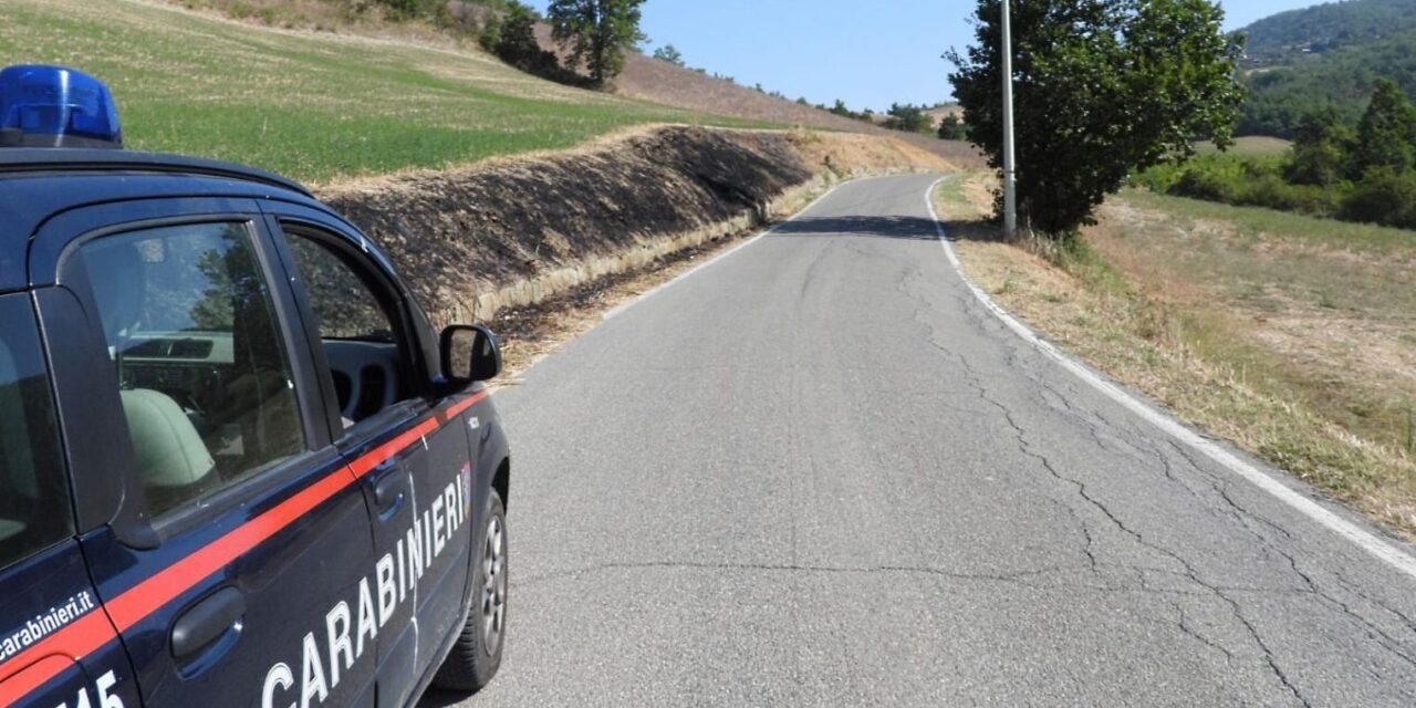 Operazioni su vasta scala dei Carabinieri del Gruppo Forestale di Alessandria