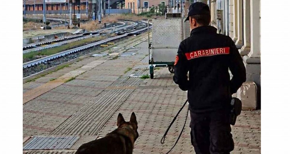 Vasti controlli dei Carabinieri alla Stazione di Tortona, arrestato uno spacciatore e denunciato un irregolare