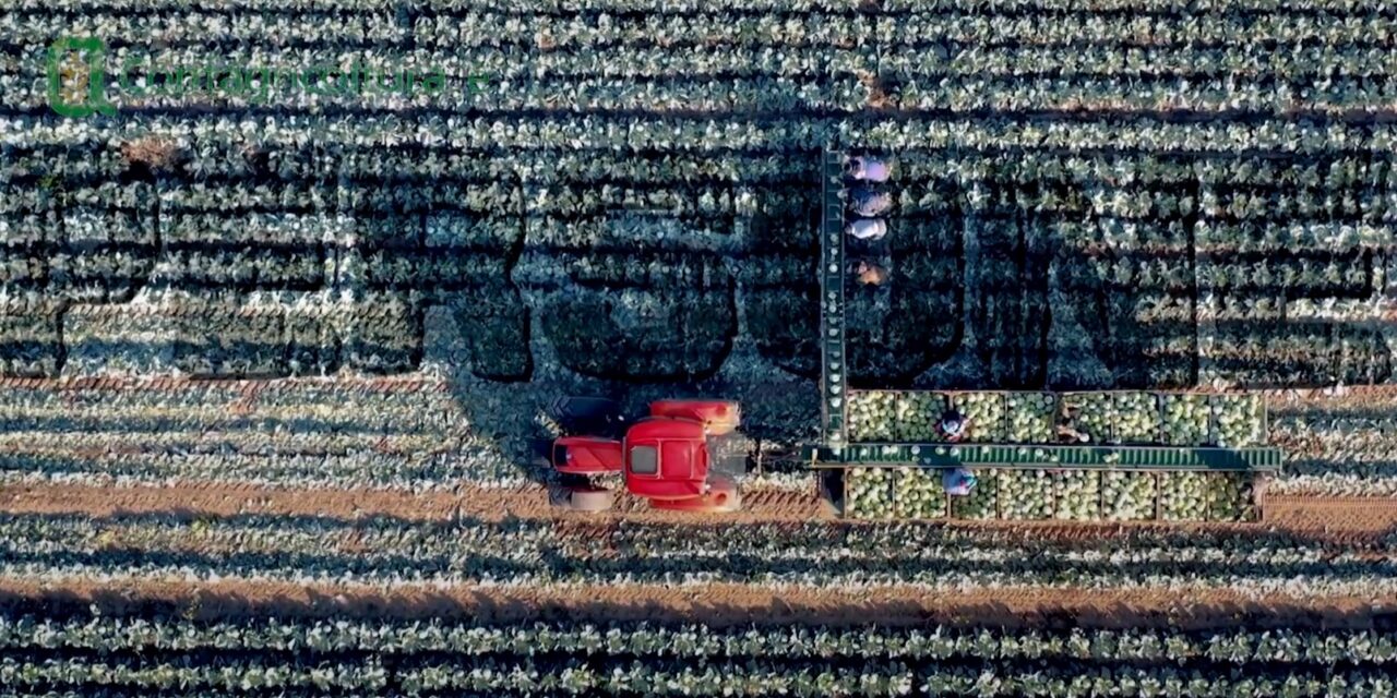 Grande partecipazione all’Assemblea di zona di Tortona di Confagricoltura