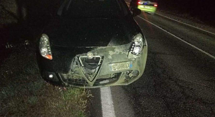 Cinghiale lungo la strada buia e tragedia sfiorata a Cassine, ma l’animale è morto.