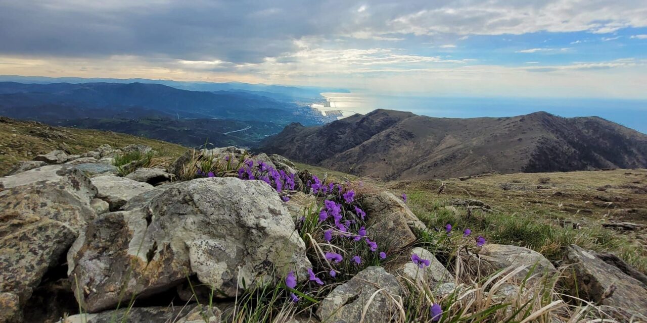 “Il Beigua e gli antichi Liguri”: giovedì 22 febbraio, ore 21, alla Casa del Giovane di Novi Ligure