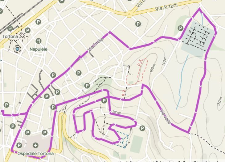 Domani Tortona inaugura la Camminata “Just the Woman I am” 2024 per le vie della città