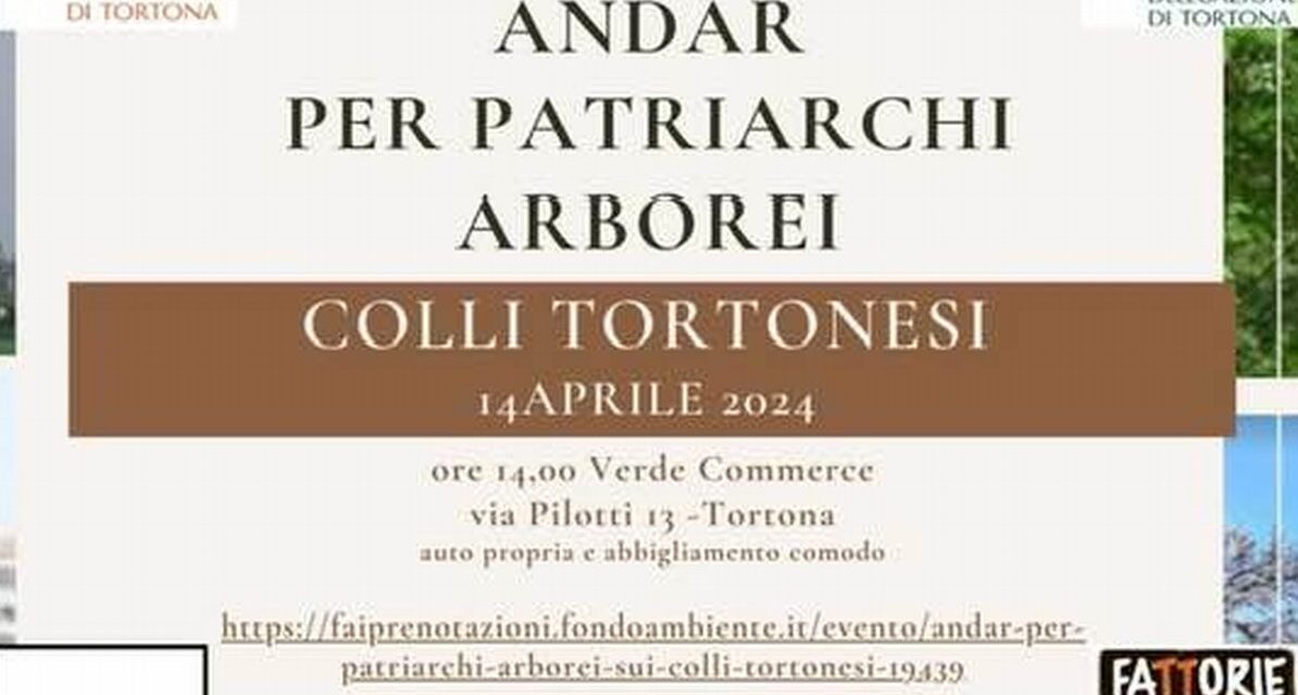 Domenica a Tortona c’è “Andar per patriarchi arborei” col FAI Giovani. Come prenotare
