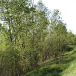 “Tortona la bella, Tortona la buona” per una domenica al Parco delle Scrivia gratis ma prenotatevi!