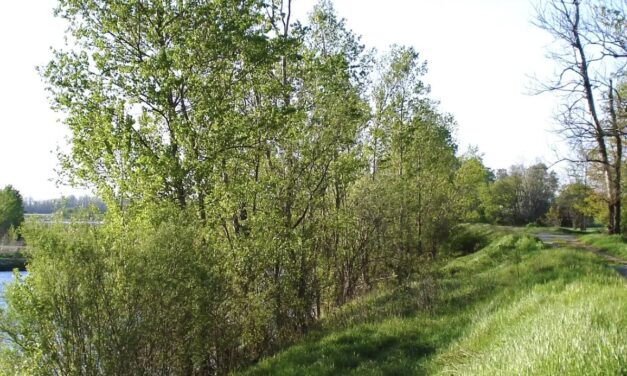 “Tortona la bella, Tortona la buona” per una domenica al Parco delle Scrivia gratis ma prenotatevi!