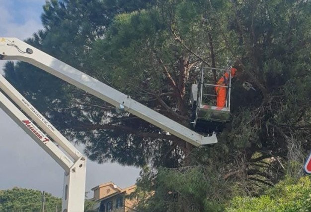 Imperia, più cura del verde urbano: via libera alla variante del piano di manutenzione