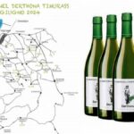 Domenica torna “Quatar pass par timurass”