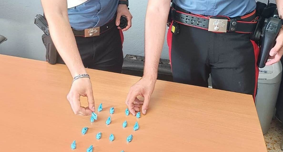 Commette un piccolo furto, ma è solo la punta dell’iceberg: i Carabinieri lo arrestano per spaccio