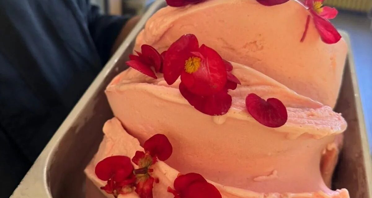 Il sorbetto “Begonia di Alassio” al G7 dell’Agricoltura a Siracusa