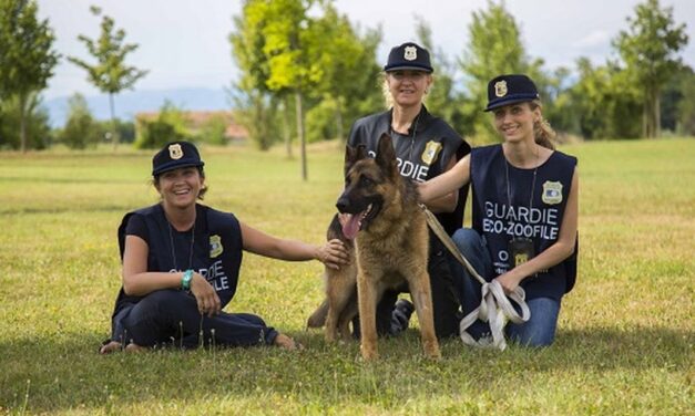 Aperte le iscrizioni al corso online per diventare Guardie zoofile