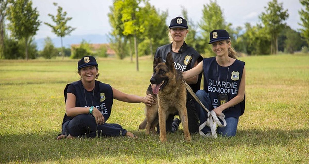 Aperte le iscrizioni al corso online per diventare Guardie zoofile