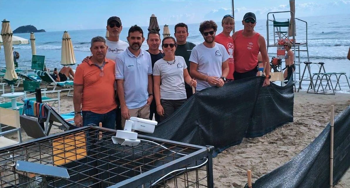 Ad Alassio la tartaruga caretta caretta Queen Elisabeth ha fatto le uova