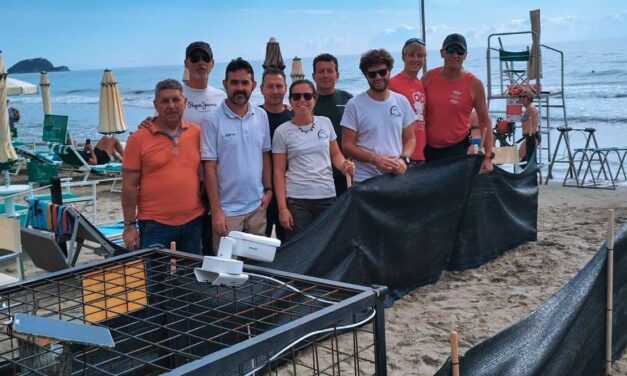 Ad Alassio la tartaruga caretta caretta Queen Elisabeth ha fatto le uova