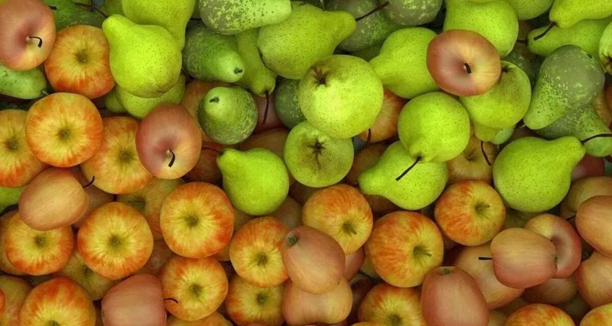 Domenica a Monleale c’è la Festa mercato della mela e della pera