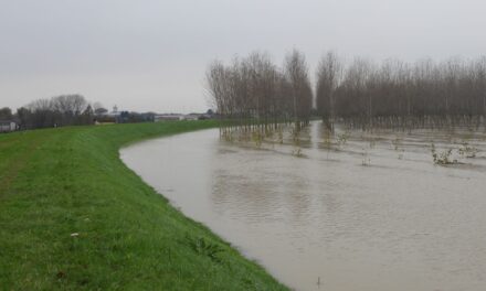 Fiumi e torrenti, vietato tuffarsi: l’appello di enti e associazioni contro i pericoli di annegamento
