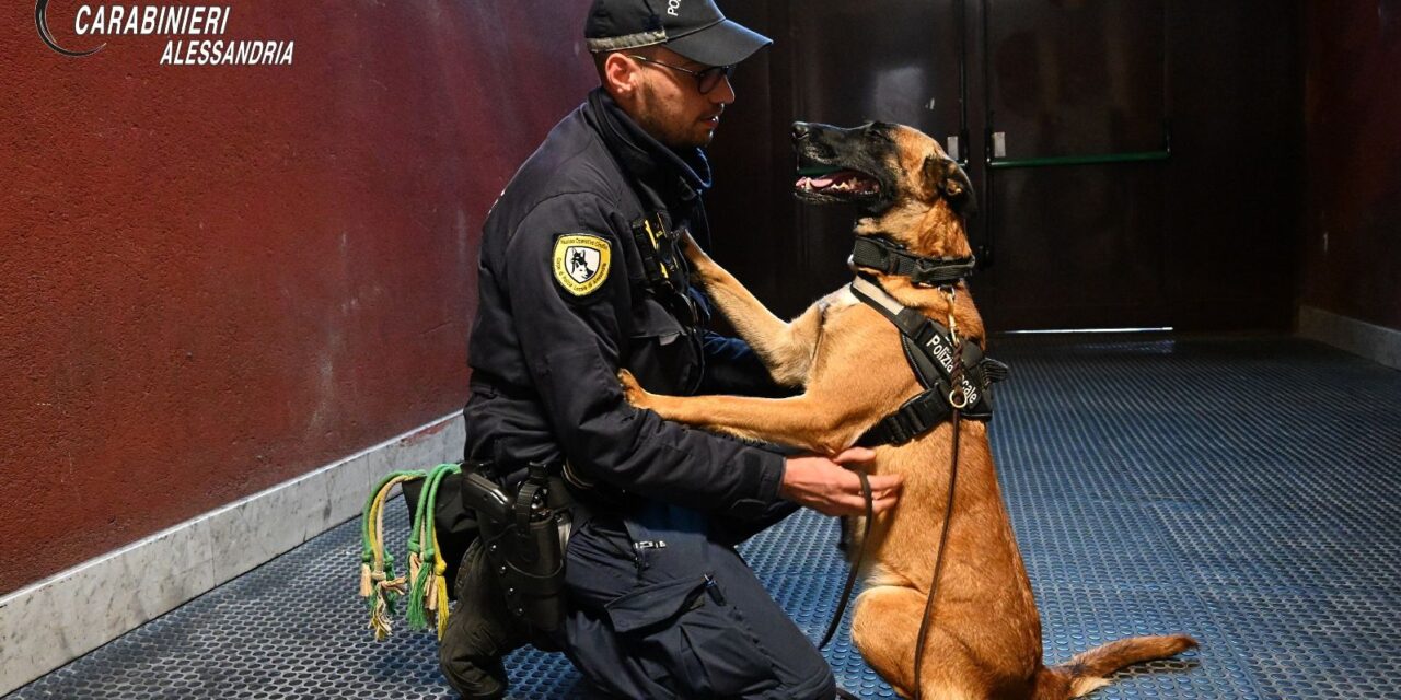 Sempre più controlli nelle scuole coi cani antidroga da parte dei Carabinieri della provincia di Alessandria