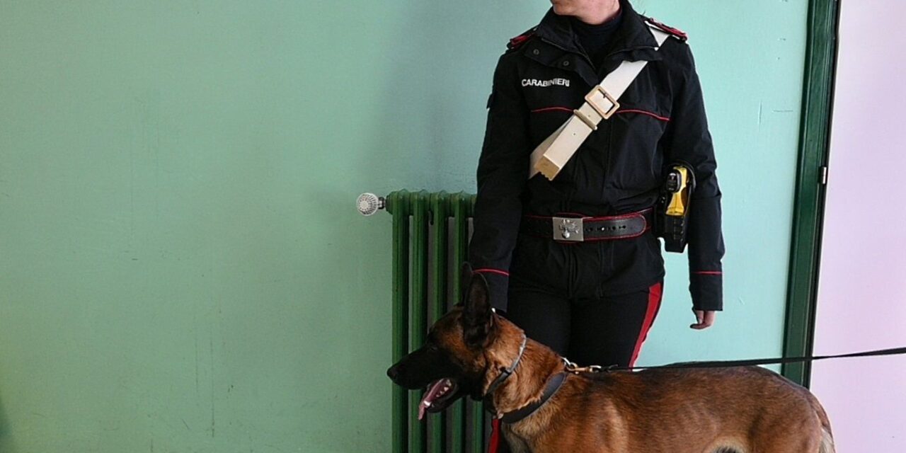 Carabinieri e Dirigenti Scolastici uniti nel contrasto alla diffusione delle sostanze stupefacenti nelle scuole