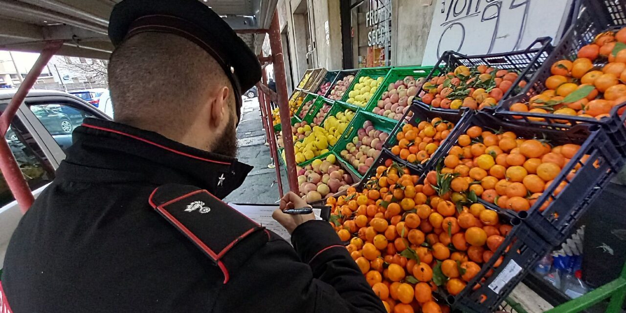 Alessandria, sospesa un’attività imprenditoriale per le numerose violazioni e l’impiego di lavoratori in nero