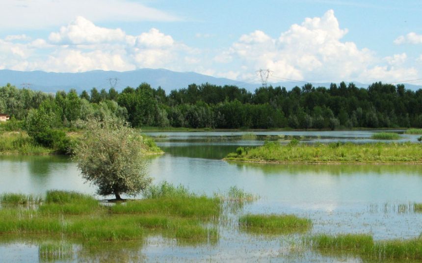 Conoscere da vicino la natura grazie all’Attività didattica promossa all’Oasi naturale di Isola Sant’Antonio