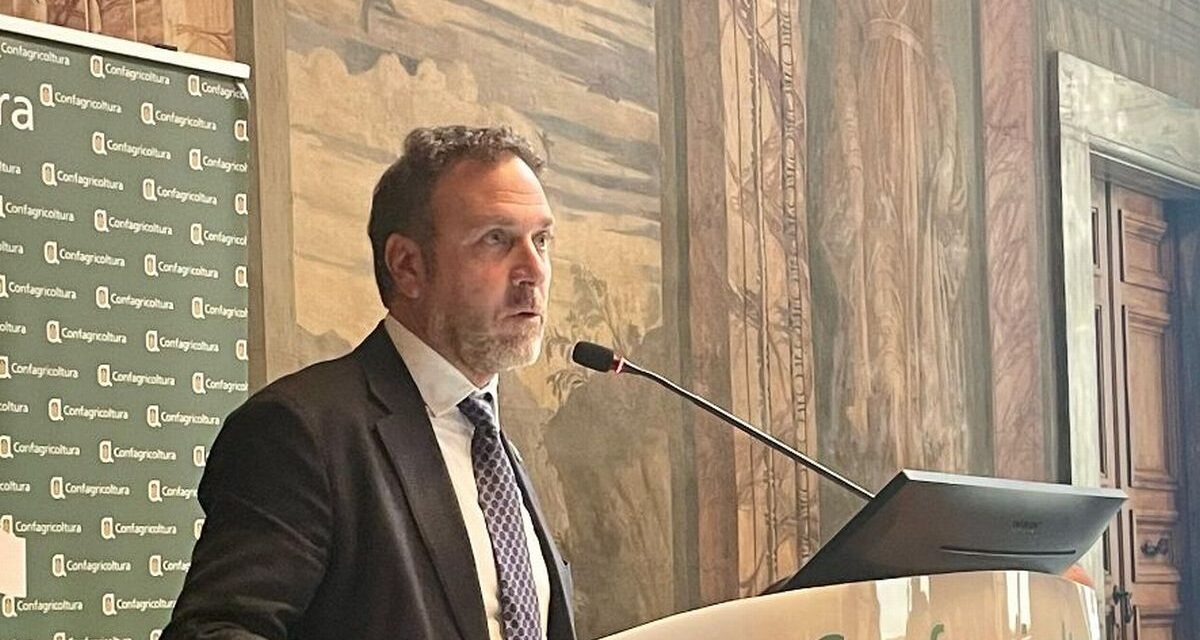Export, consigliere delegato Piana: “Liguria in crescita, bene le imprese. Ma attenzione agli scenari internazionali”