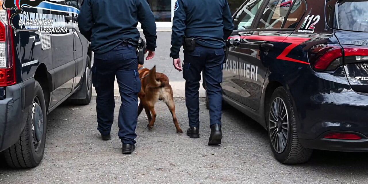 Carabinieri e Dirigenti Scolastici uniti: controlli nell’ovadese con i cani antidroga