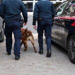 Sicurezza a Ovada, calano i reati: in arrivo un presidio della Guardia di Finanza e nuove telecamere